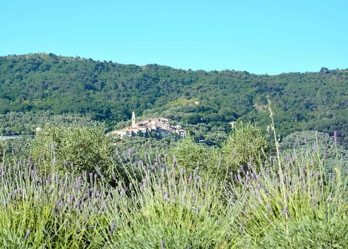 Semesterbostad Le Sorbe - Bcm120 By Interhome